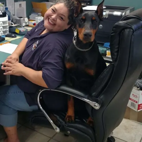 Dog in chair with staff member